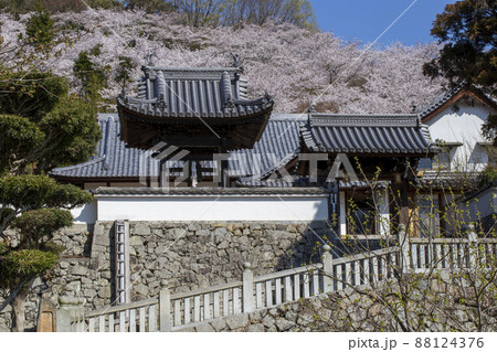 春の仏閣 88124376