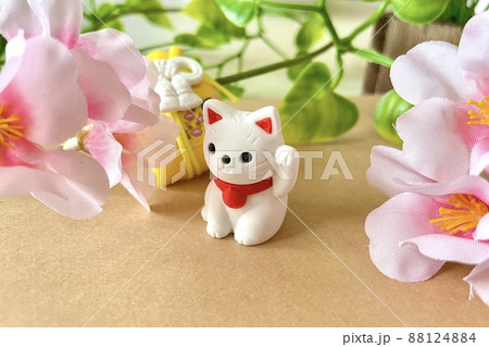 福を招く猫と桜 福を招く猫と桜 88124884