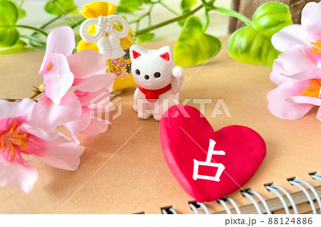 占いと招き猫と花とハート 占いと招き猫と花とハート 88124886