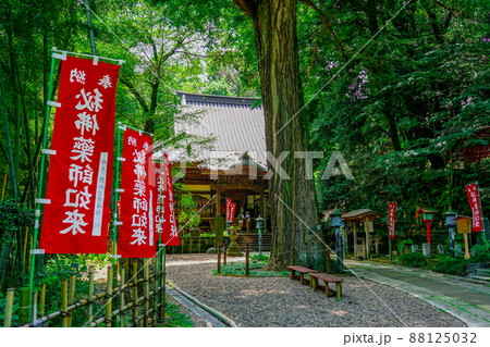 薬師池公園の福王寺薬師堂（東京都町田市） 88125032