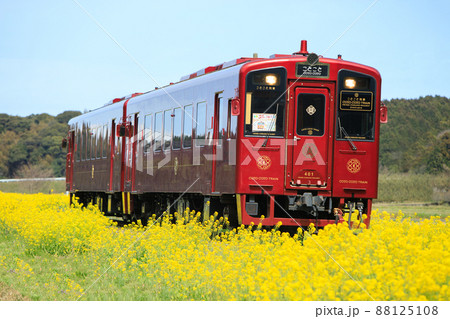 菜の花と「ことこと列車」（平成筑豊鉄道） 88125108