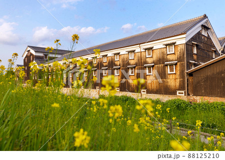 酒蔵と菜の花 酒蔵と菜の花 88125210