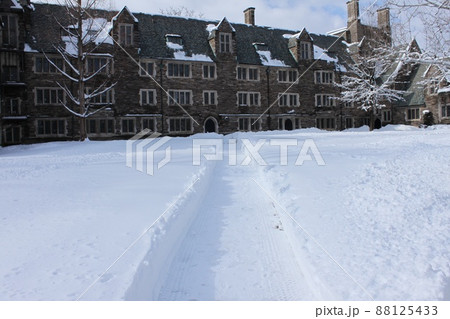 プリンストン大学の冬景色 88125433