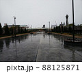 じめじめと暗い梅雨空の下、雨に濡れた路面に街路樹の影が映る 88125871