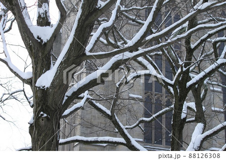 プリンストン大学の雪景色 プリンストン大学の雪景色 88126308