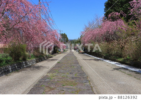 春の今市石畳Ⅱ 88126392