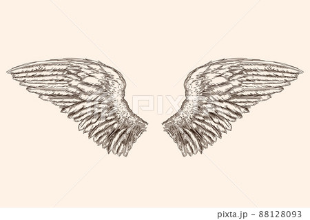 Two wings of an angel. 88128093