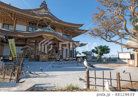 青森八戸 蕪島神社 88128639