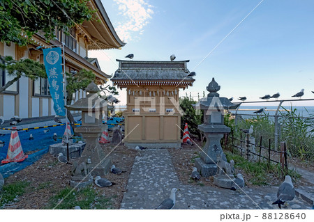 青森八戸 蕪島神社 88128640