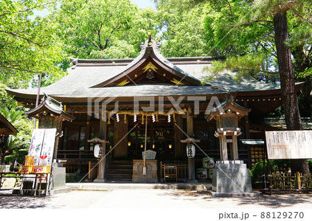 前鳥神社 88129270