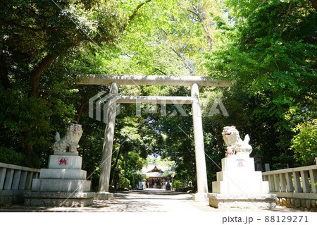前鳥神社 前鳥神社 88129271