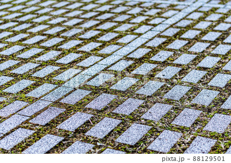 ドット柄 タイル ドット柄 タイル 88129501