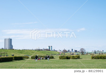 土手で遊ぶ人達：東京・柴又公園 88129901