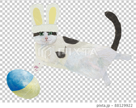 Rabbit bee black cat and blue yellow egg _ sideways 88129922