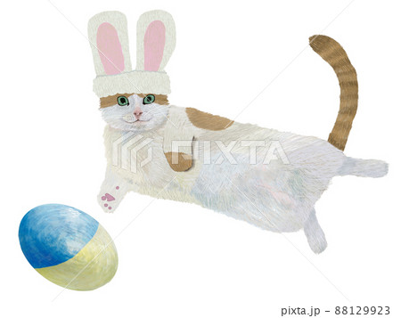 ウサギハチワレ茶猫と青黄卵_横 88129923