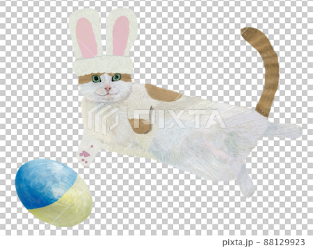 ウサギハチワレ茶猫と青黄卵_横 88129923