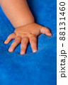Child's hand on the veil 88131460