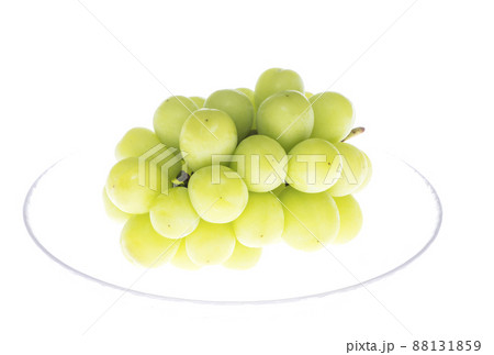 シャインマスカット　葡萄　マスカット　高級フルーツ 88131859