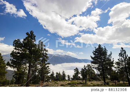 Sunny view of the landscape of Big bear lake 88132308