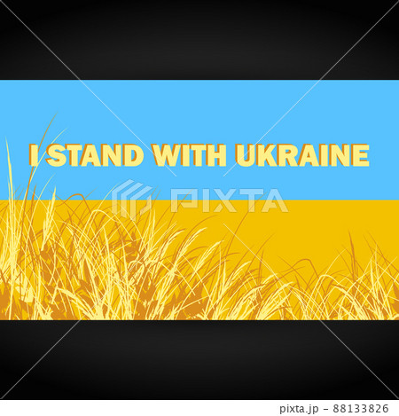 I stand with Ukraine sign on the national flag of Ukraine. I stand with Ukraine sign on the national flag of Ukraine. 88133826