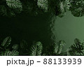 Jungle background, Top view of tropical leaves on green water backdrop. 3d render. 88133939