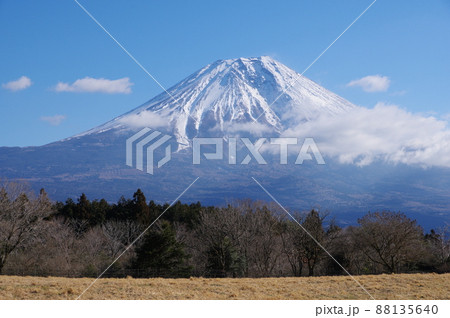 冠雪の富士山 朝霧高原からの眺め 冠雪の富士山 朝霧高原からの眺め 88135640