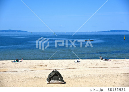 快晴の青空の二色浜で遊ぶ人々 快晴の青空の二色浜で遊ぶ人々 88135921
