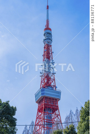 芝公園からから眺める観光名所の東京タワー「Tokyo Towerとうきょうタワー」 芝公園からから眺める観光名所の東京タワー「Tokyo Towerとうきょうタワー」 88136771
