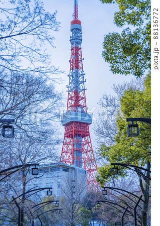 芝公園からから眺める観光名所の東京タワー「Tokyo Towerとうきょうタワー」 芝公園からから眺める観光名所の東京タワー「Tokyo Towerとうきょうタワー」 88136772