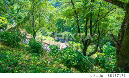 わたらせ渓谷鉄道　本宿駅入口付近からの眺め　わたらせ渓谷　初夏の風景　　　 88137171