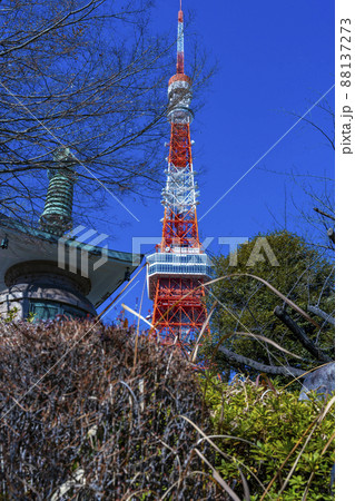 増上寺から眺める観光名所の東京タワー「Tokyo Towerとうきょうタワー」 増上寺から眺める観光名所の東京タワー「Tokyo Towerとうきょうタワー」 88137273