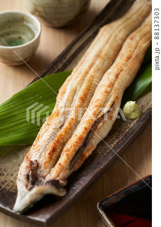 鰻の白焼 88137303