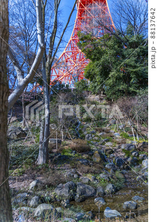 もみじ谷から眺める観光名所の東京タワー「Tokyo Towerとうきょうタワー」 もみじ谷から眺める観光名所の東京タワー「Tokyo Towerとうきょうタワー」 88137642
