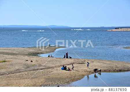 快晴の日に海辺で遊ぶ家族連れ 快晴の日に海辺で遊ぶ家族連れ 88137650