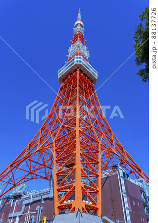 下から眺める観光名所の東京タワー「Tokyo Towerとうきょうタワー」 下から眺める観光名所の東京タワー「Tokyo Towerとうきょうタワー」 88137726