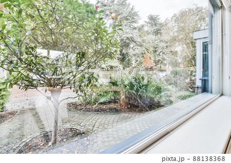 Magnificent view from the window to the courtyard of the house with trees Magnificent view from the window to the courtyard of the house with trees 88138368