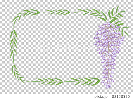 Wisteria flower frame Wisteria flower frame 88138550