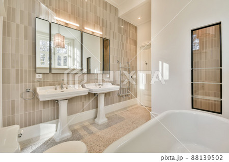 Luxurious bathroom with fresh renovation and plumbing Luxurious bathroom with fresh renovation and plumbing 88139502