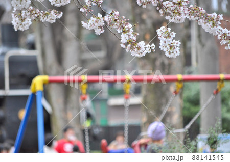 春を感じる世田谷区の砧公園と大蔵総合運動場 春を感じる世田谷区の砧公園と大蔵総合運動場 88141545