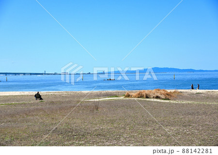 休日海岸でくつろぐ人々 88142281
