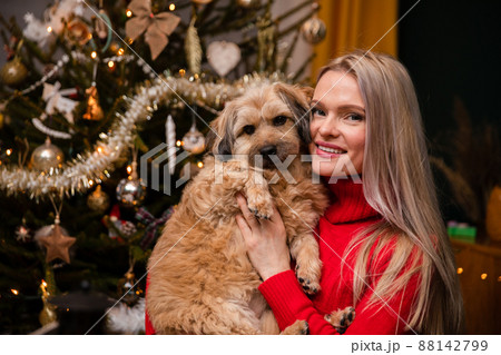 A woman holds a dog in her arms and stands in front of a Christmas tree. A woman holds a dog in her arms and stands in front of a Christmas tree. 88142799