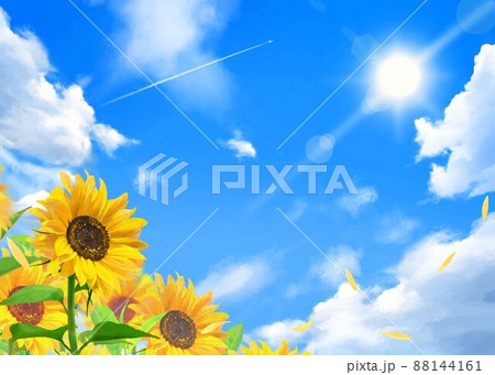 入道雲のある青空に飛行機雲ー太陽の下美しいひまわりが咲く初夏フレーム背景素材 88144161