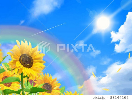 風の吹く虹と雲のある青空に飛行機雲ー太陽の下美しいひまわりが咲く
