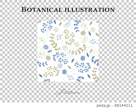 Botanical seamless pattern (plants) 88144211