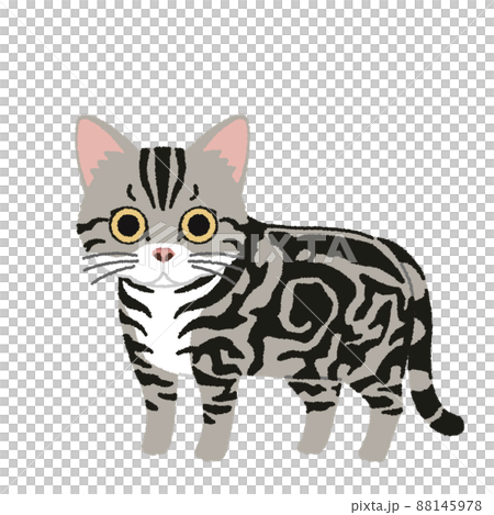 原画「窓辺の猫・アメリカンショートヘアー」猫/風景/イラスト/絵/アート/額付 原画「窓辺の猫・アメリカンショートヘアー」猫/風景/イラスト