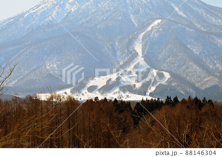 信濃町より眺めたスキー場が見える3月の黒姫山 88146304