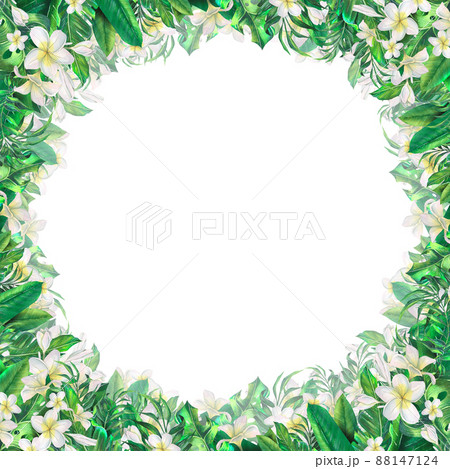 Watercolor illustration frame with tropical leaves, plumeria flowers. Beach, wedding, summer, exotic. For menus, postcard design, invitations, presentations, information boards. Watercolor illustration frame with tropical leaves, plumeria flowers. Beach, wedding, summer, exotic. For menus, postcard design, invitations, presentations, information boards. 88147124
