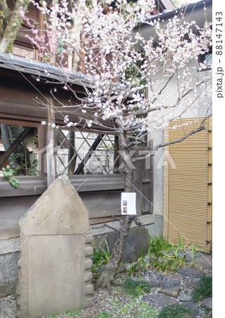 菅原院天満宮神社  京都府 88147143