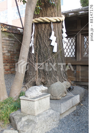 菅原院天満宮神社  京都府 菅原院天満宮神社  京都府 88147176