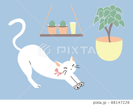 観葉植物と伸びをする猫 88147226